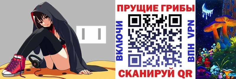 Псилоцибиновые грибы Cubensis  Тырныауз 